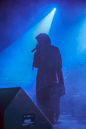 'The Phoenix Concert Theatre', Embrace, Rock, Toronto, 'The True Mayhem'