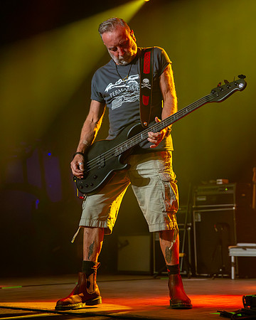 Peter Hook & The Light