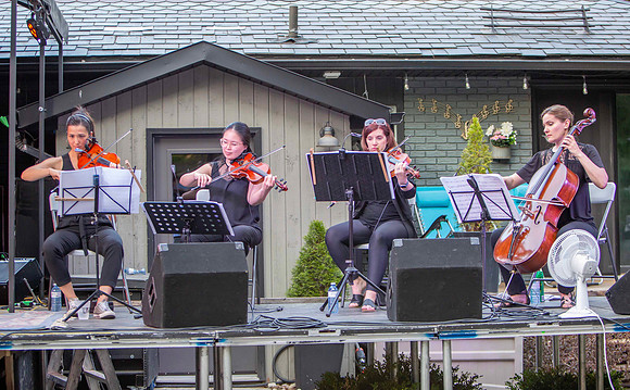 Tom Wilson's Symphonic Scars at The Blues Holler in Uxbridge.