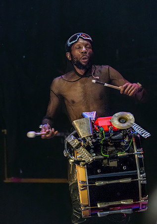 Too Many Zooz