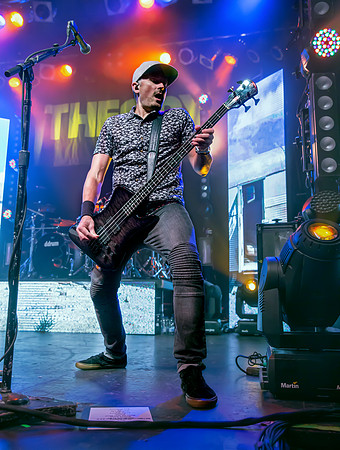 Theory Of A Deadman