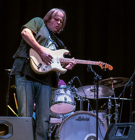 Walter Trout