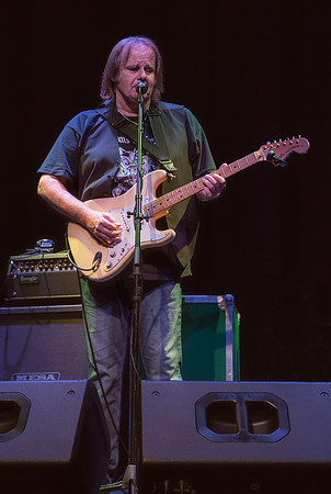 Walter Trout