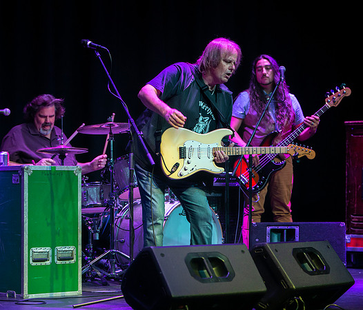 Walter Trout