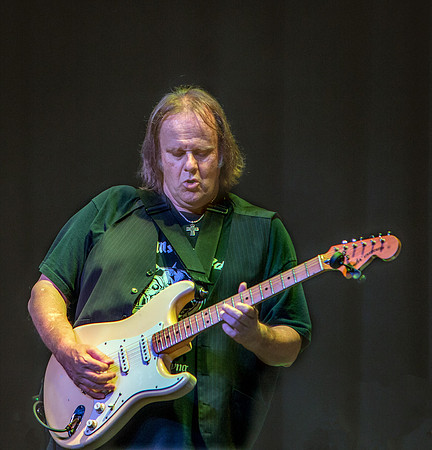 Walter Trout