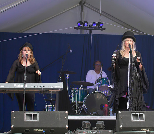 Fleetwood Mac Mania