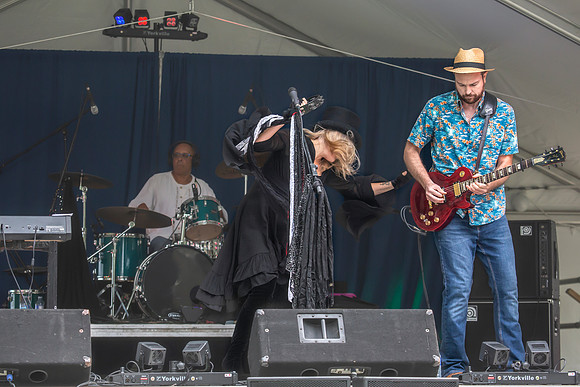 Fleetwood Mac Mania