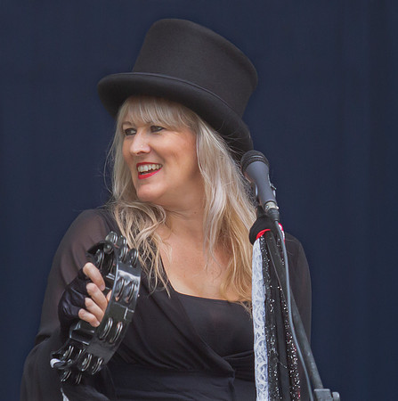 Fleetwood Mac Mania