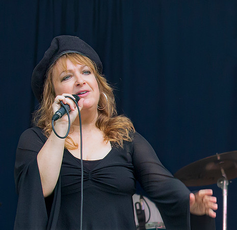 Fleetwood Mac Mania