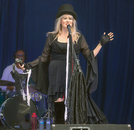 Fleetwood Mac Mania