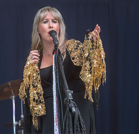 Fleetwood Mac Mania