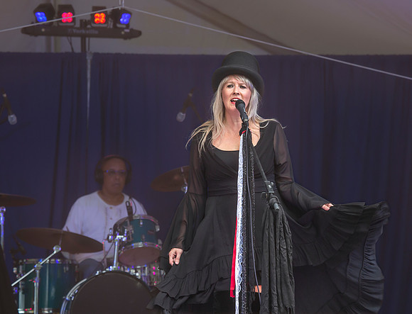 Fleetwood Mac Mania