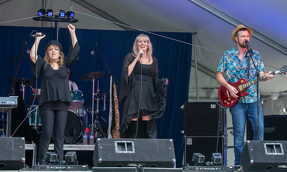 Fleetwood Mac Mania