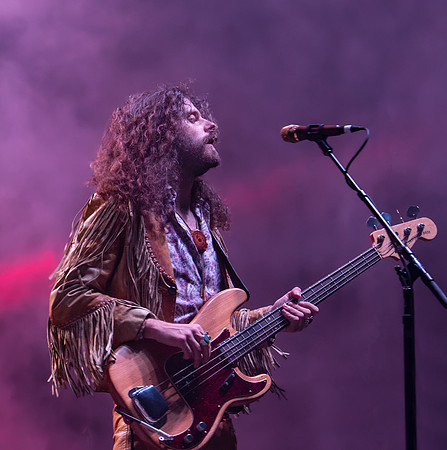 The Sheepdogs