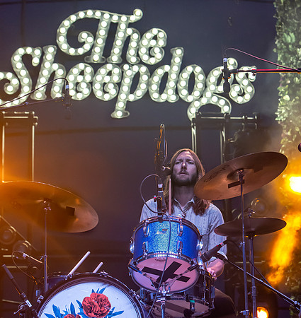 The Sheepdogs