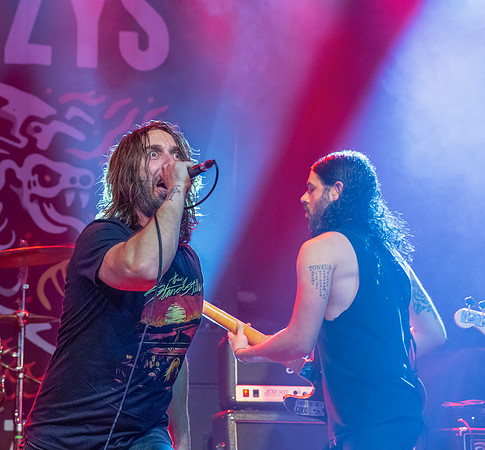 The Lazys