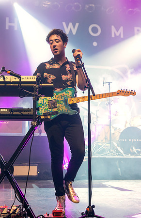 The Wombats