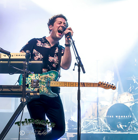 The Wombats
