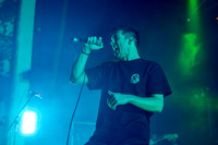 Knuckle Puck