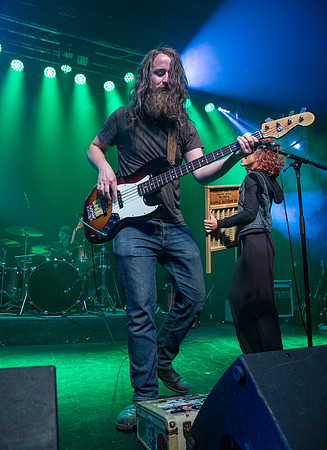 Hairy Holler