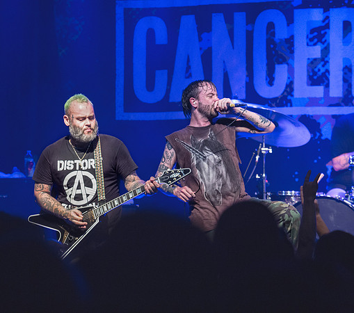Cancer Bats