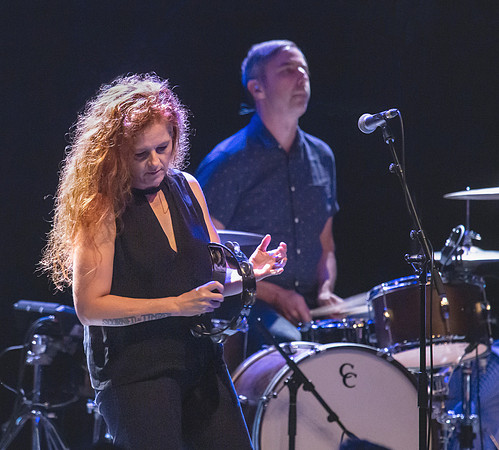 The New Pornographers