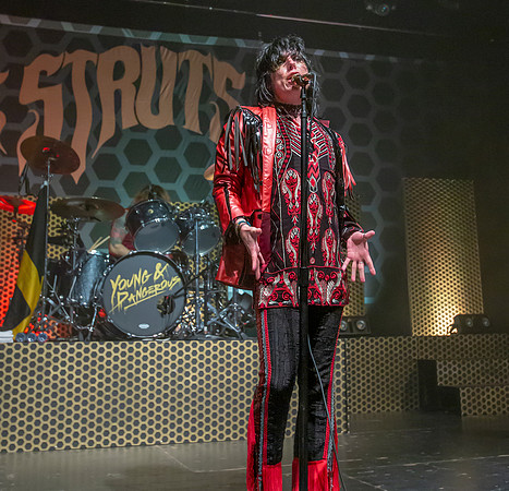 The Struts