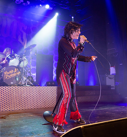The Struts