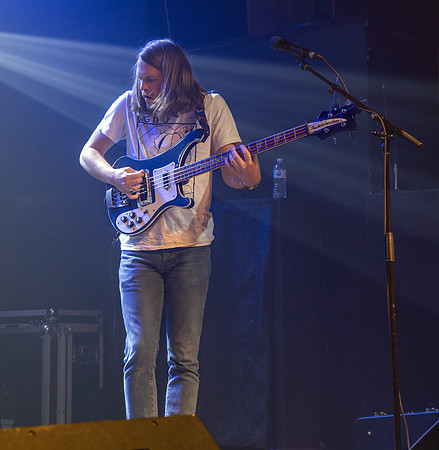 Taylor Knox